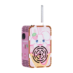 DIY Walkie Talkie Gen 1