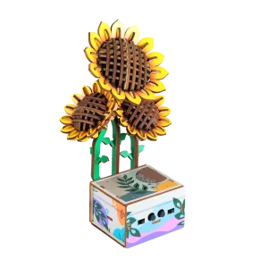 Sunflower Shape Recorde